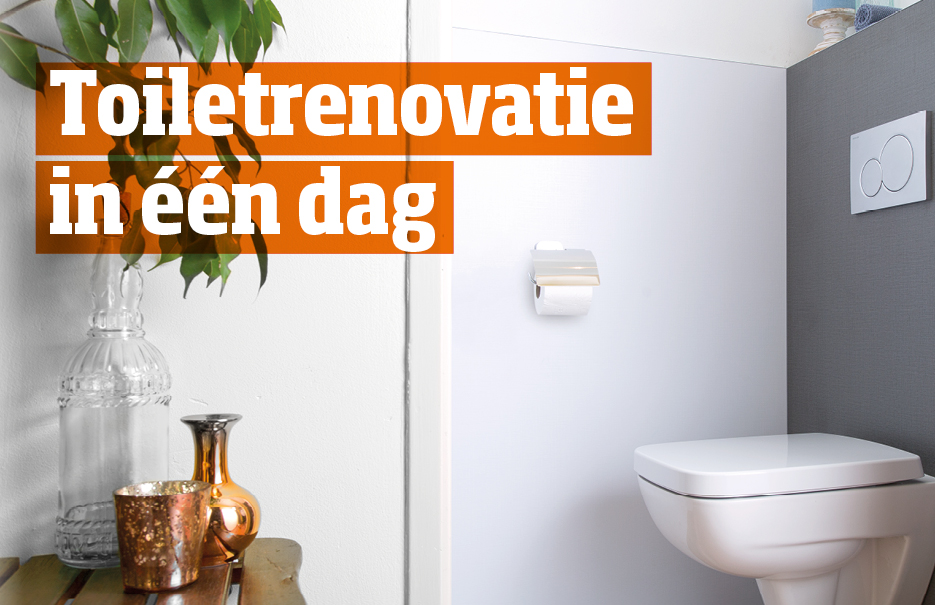 Toiletrenovatie in 1 dag